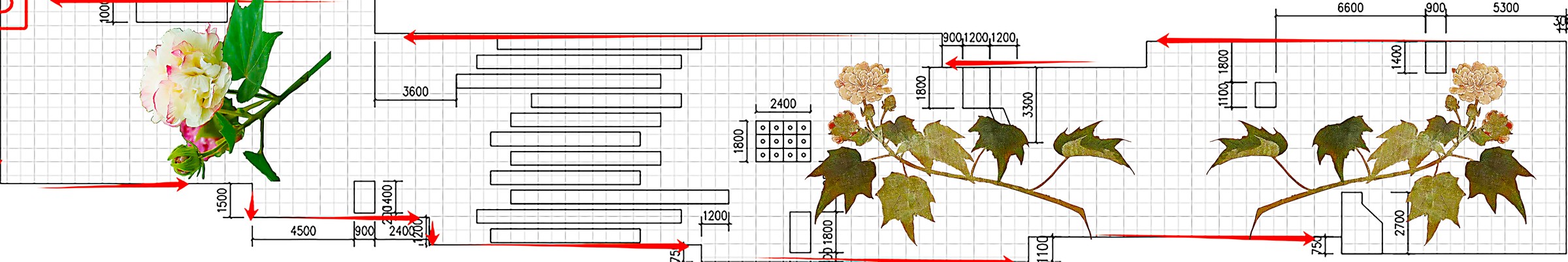 芙蓉传奇：水池平面设计图 / The Legend of Hibiscus: pool plan